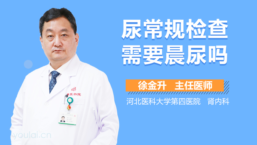 尿常规检查需要晨尿吗