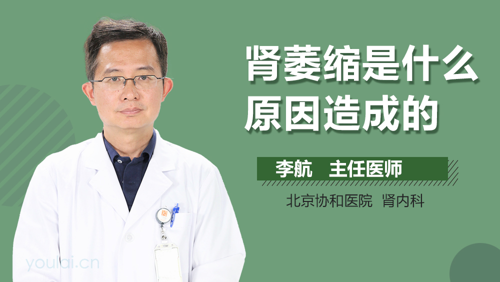 肾萎缩是什么原因造成的