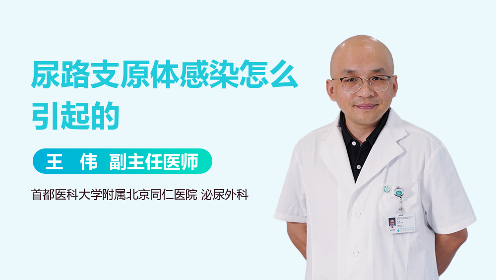 尿路支原体感染怎么引起的