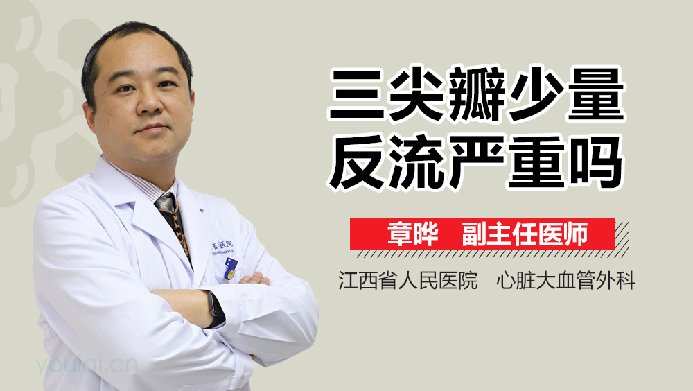 三尖瓣少量反流严重吗