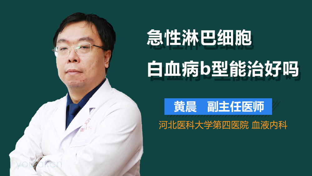急性淋巴细胞白血病b型能治好吗