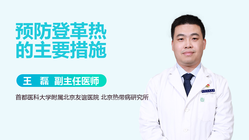 预防登革热的主要措施