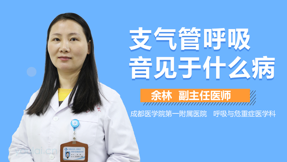 支气管呼吸音见于什么病