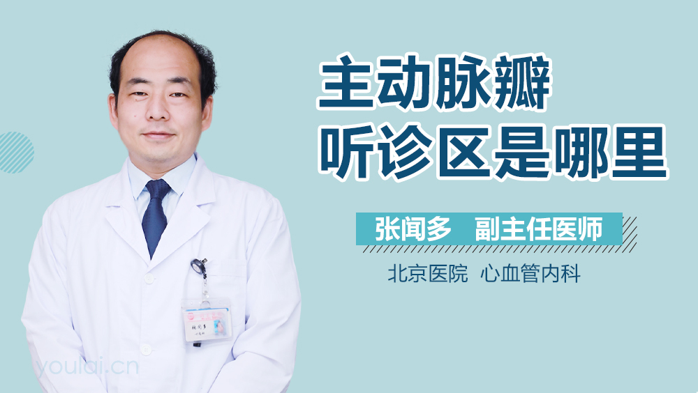 主动脉瓣听诊区是哪里