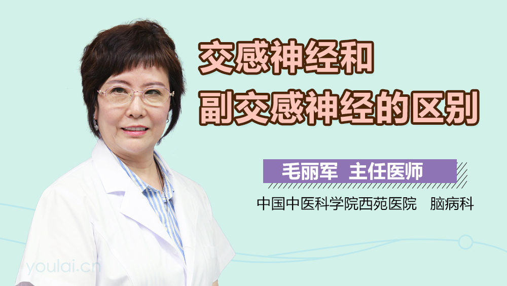 交感神经和副交感神经的区别