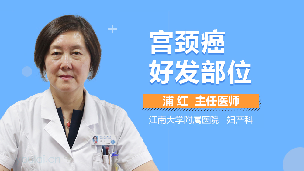 宫颈癌好发部位