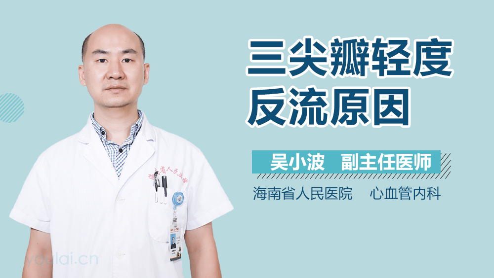 三尖瓣轻度反流原因