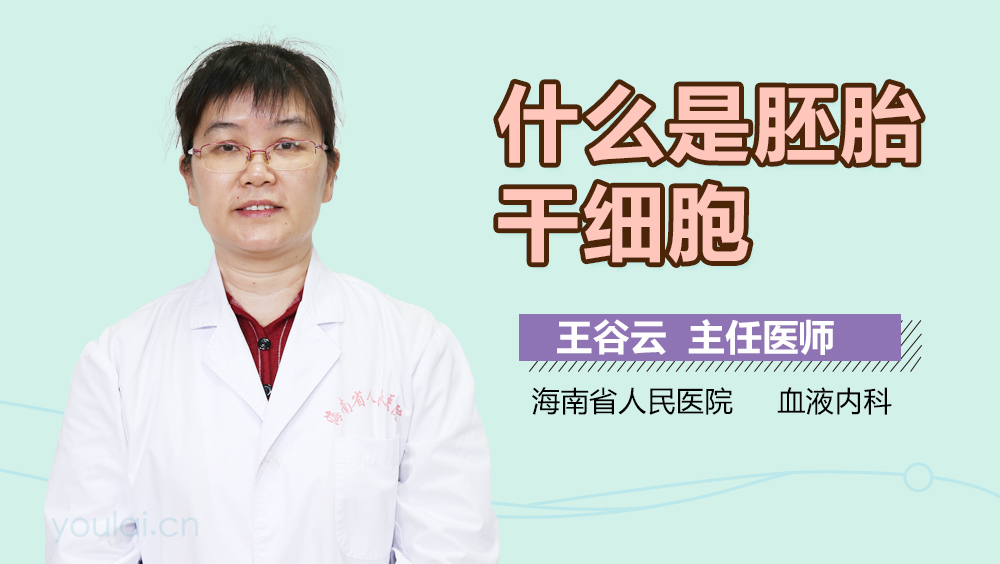 什么是胚胎干细胞