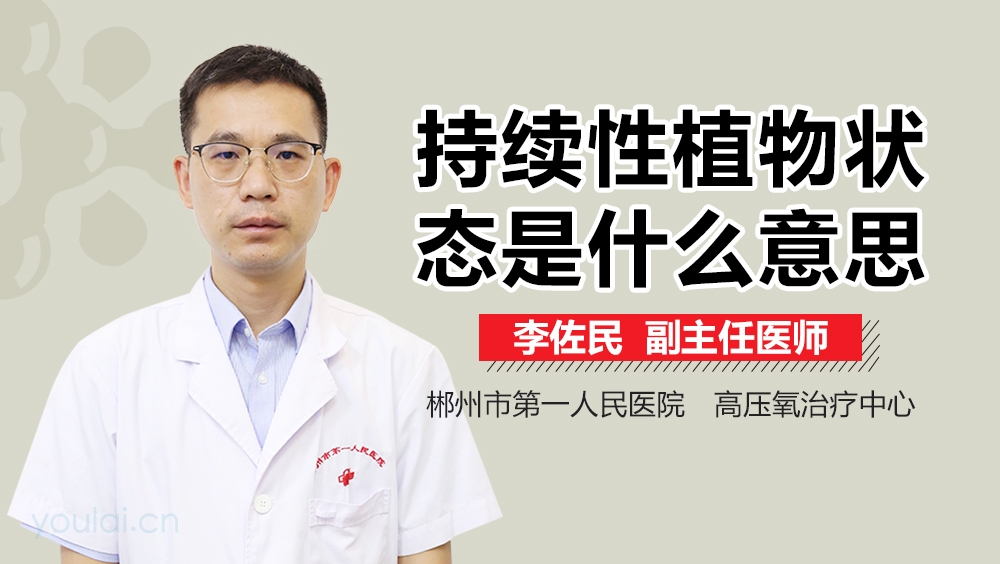 持续性植物状态是什么意思