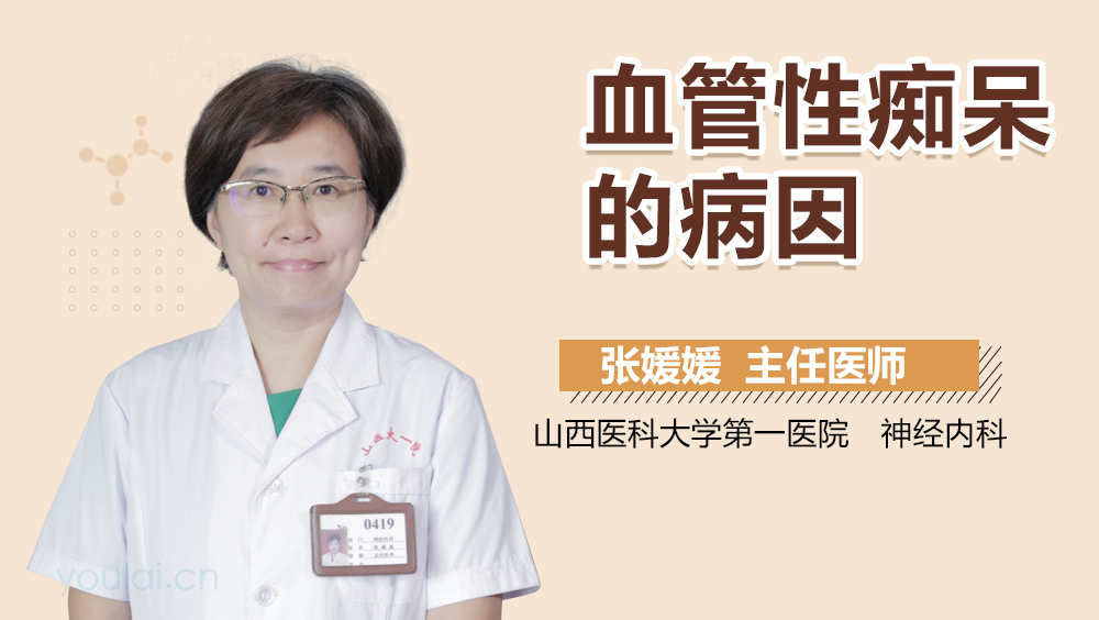 血管性痴呆的病因