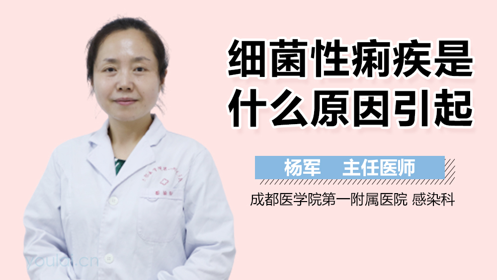 细菌性痢疾是什么原因引起