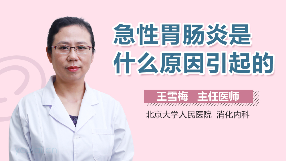 急性胃肠炎是什么原因引起的