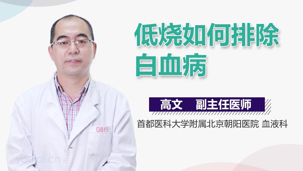 低烧如何排除白血病