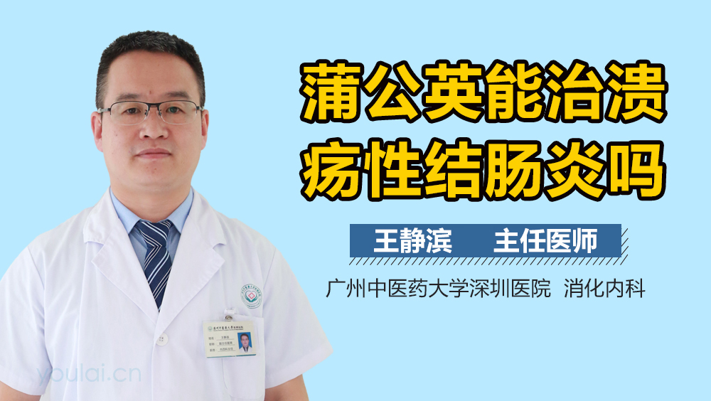 蒲公英能治溃疡性结肠炎吗