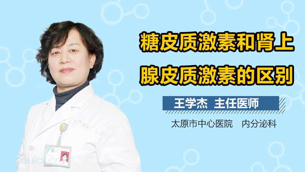 糖皮质激素和肾上腺皮质激素的区别