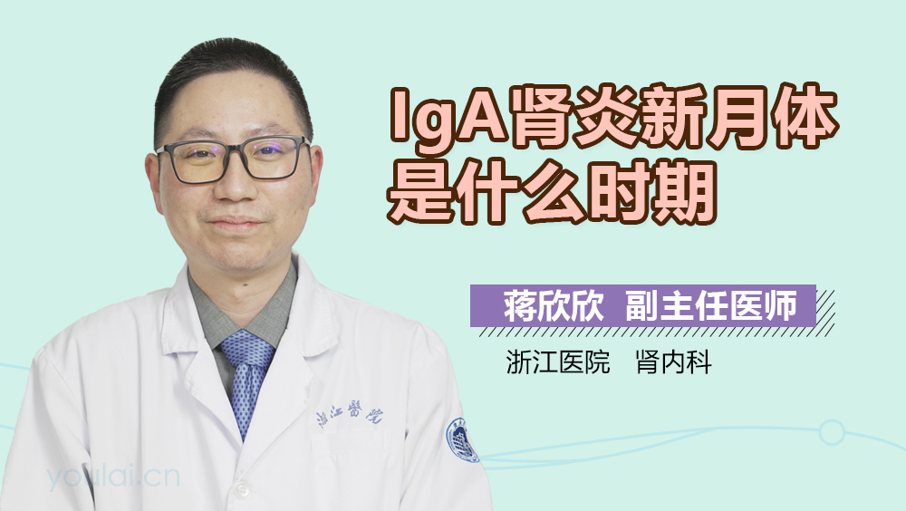 IgA肾炎新月体是什么时期