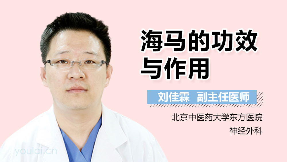 海马的功效与作用