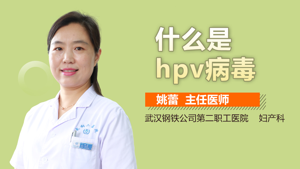 什么是hpv病毒