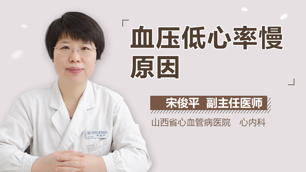 血压低心率慢原因