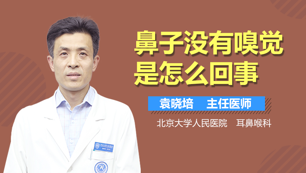 鼻子没有嗅觉是怎么回事