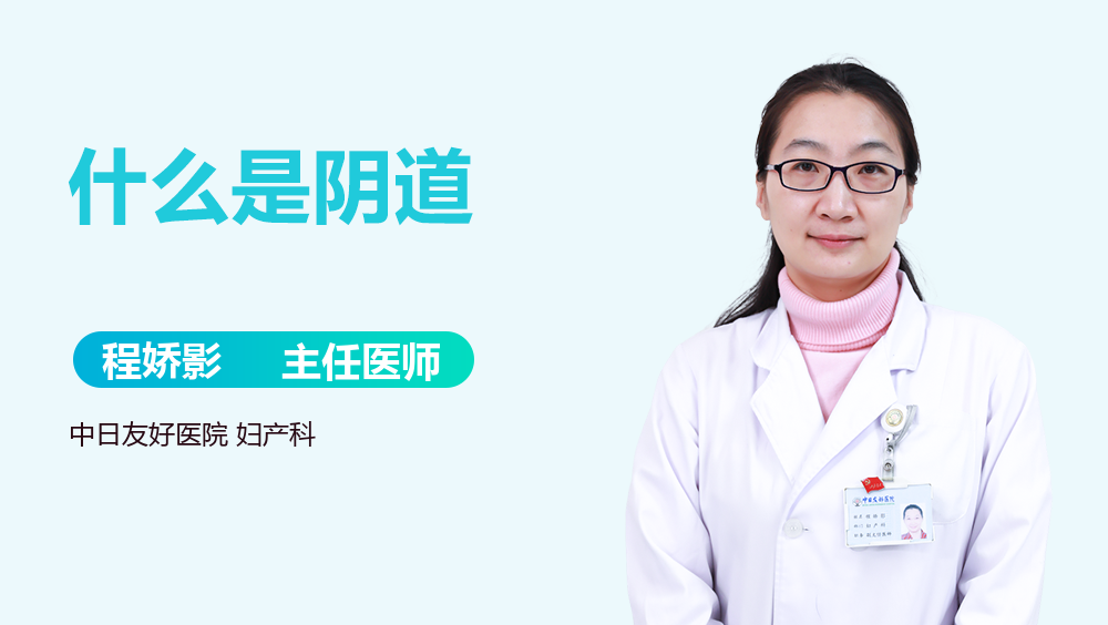什么是阴道