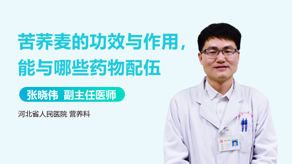 苦荞麦的功效与作用，能与哪些药物配伍