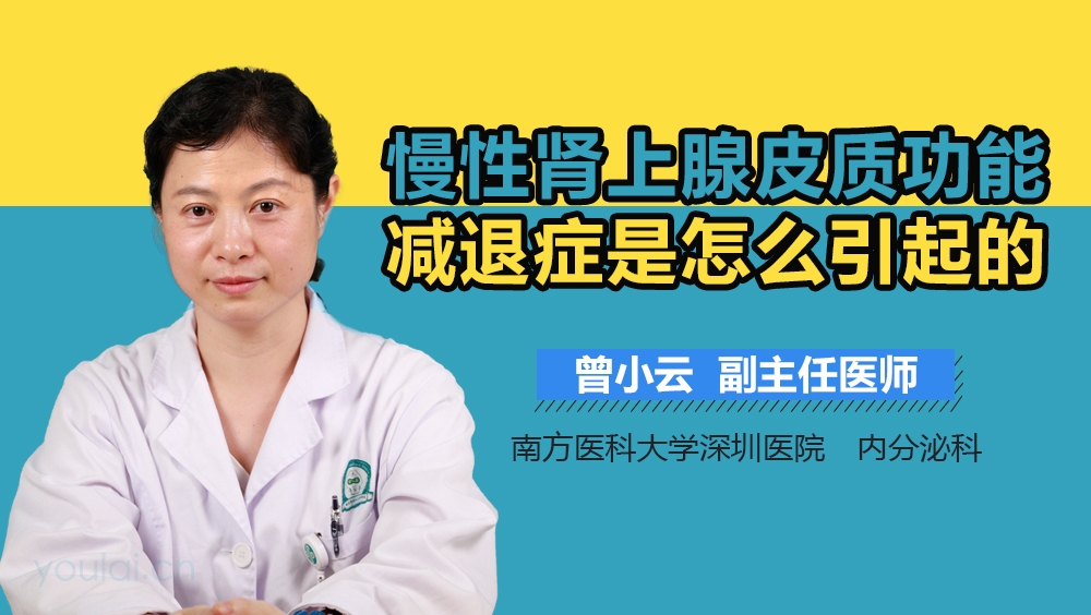 慢性肾上腺皮质功能减退症是怎么引起的