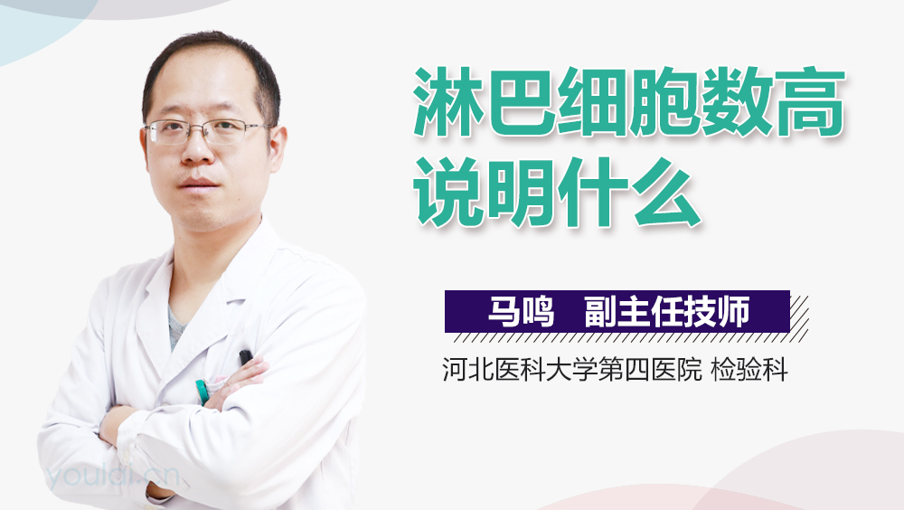 淋巴细胞数高说明什么