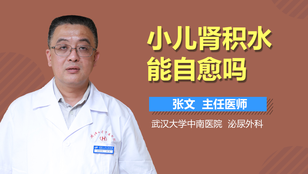 小儿肾积水能自愈吗