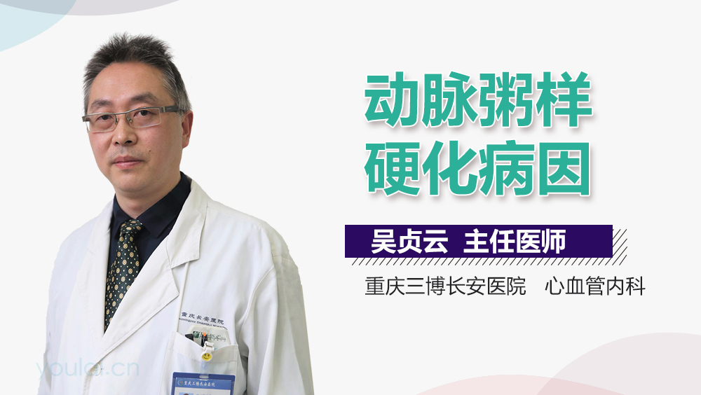 动脉粥样硬化病因