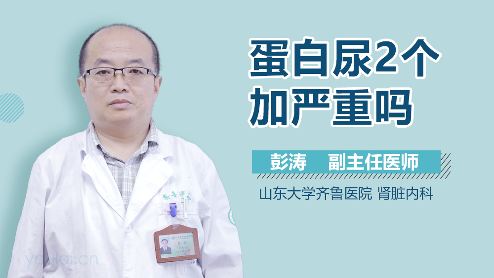 蛋白尿2个加严重吗