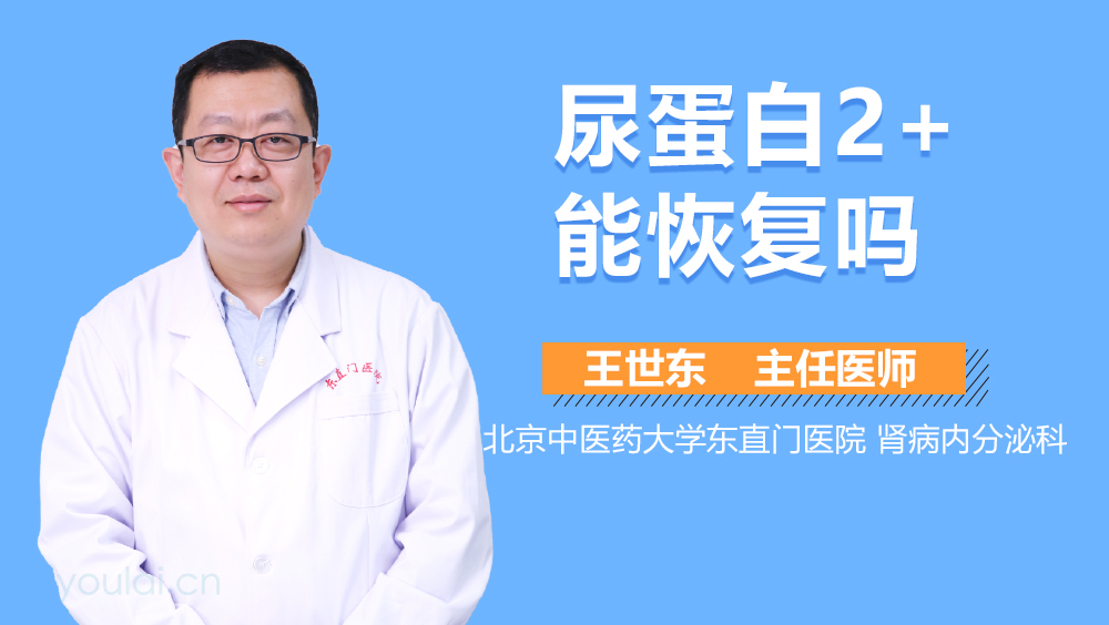 尿蛋白2+能恢复吗