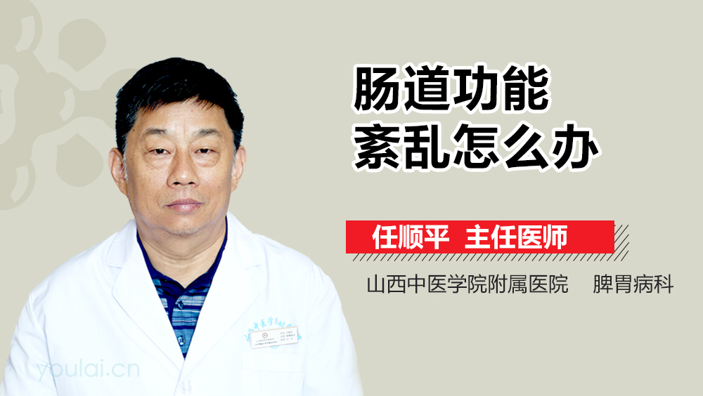 肠道功能紊乱怎么办