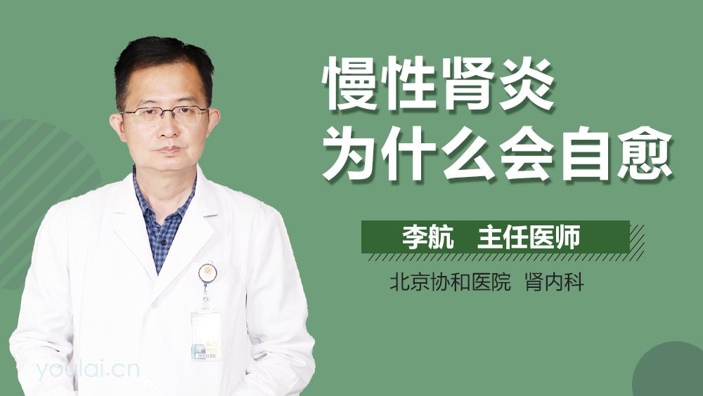 慢性肾炎为什么会自愈