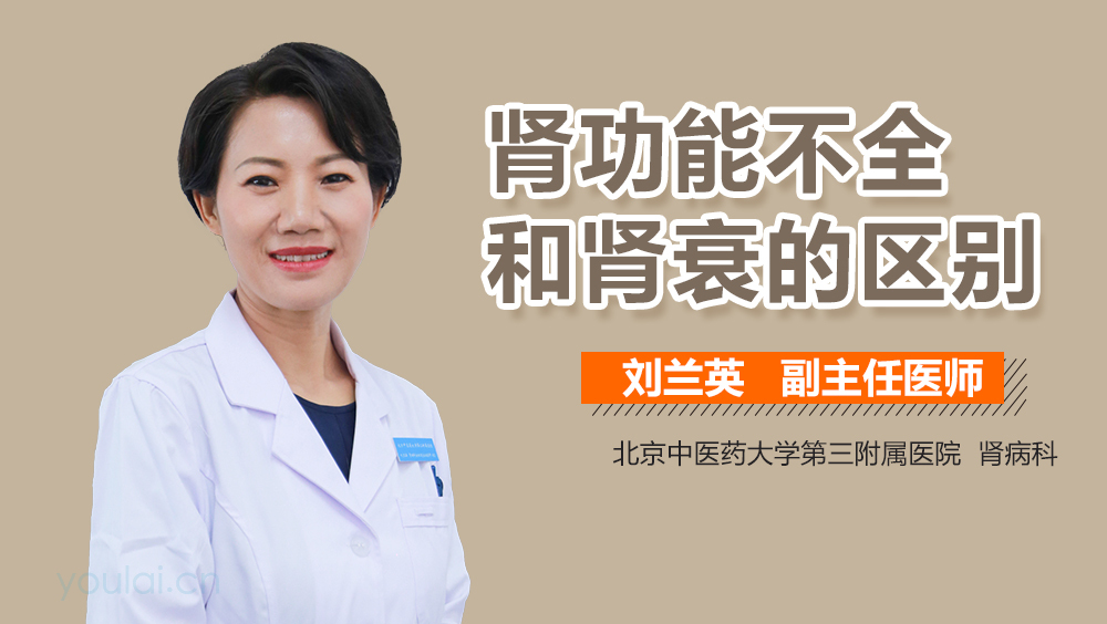 肾功能不全和肾衰的区别