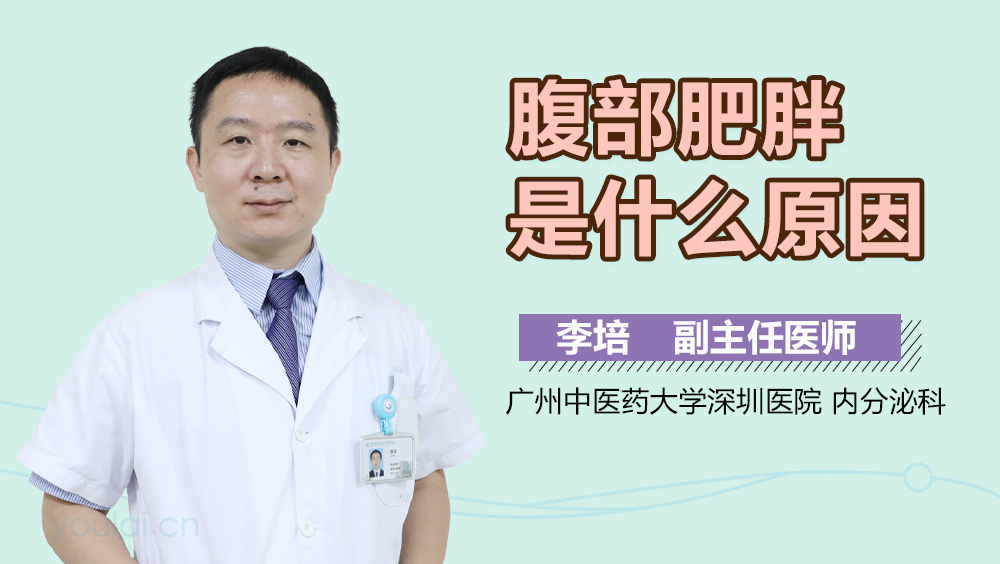 腹部肥胖是什么原因