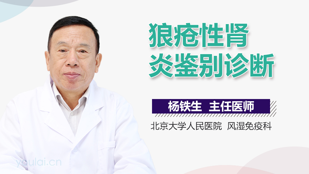 狼疮性肾炎鉴别诊断