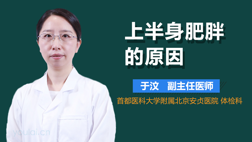 上半身肥胖的原因