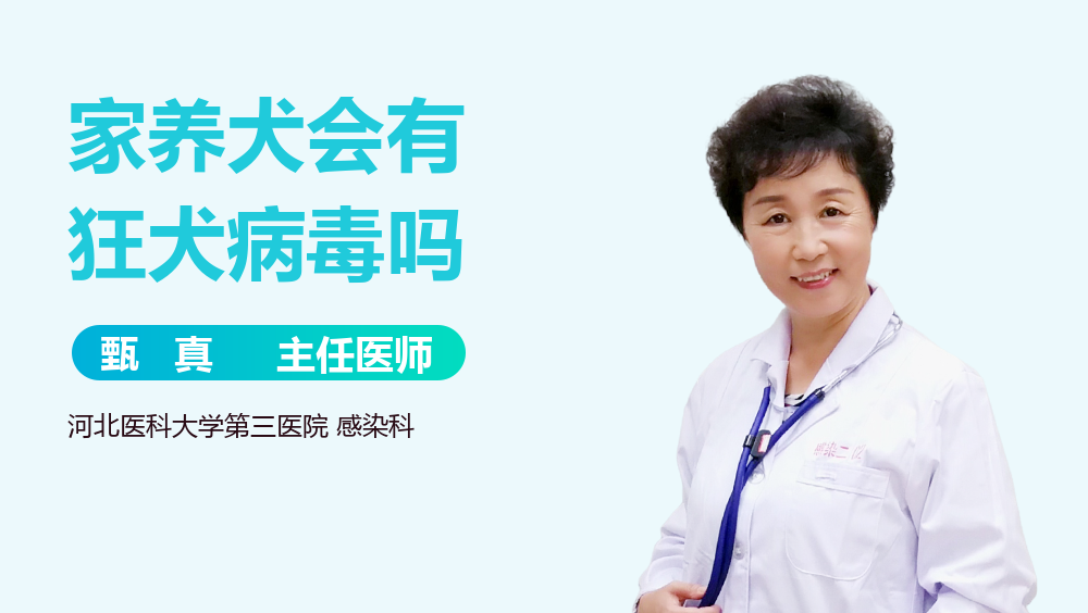 家养犬会有狂犬病毒吗