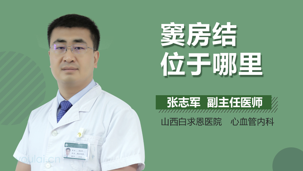 窦房结位于哪里