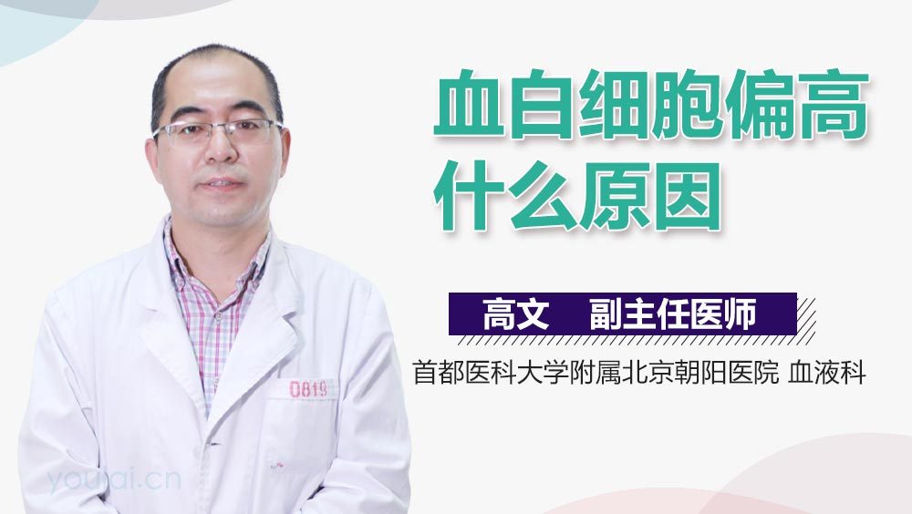 血白细胞偏高什么原因