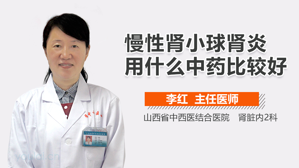 慢性肾小球肾炎用什么中药比较好