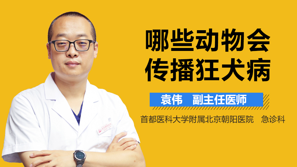 哪些动物会传播狂犬病