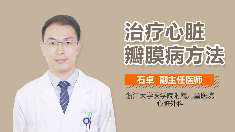 治疗心脏瓣膜病方法