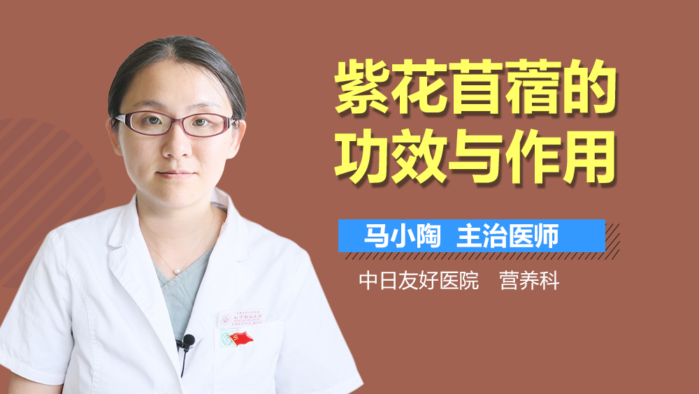 紫花苜蓿的功效与作用