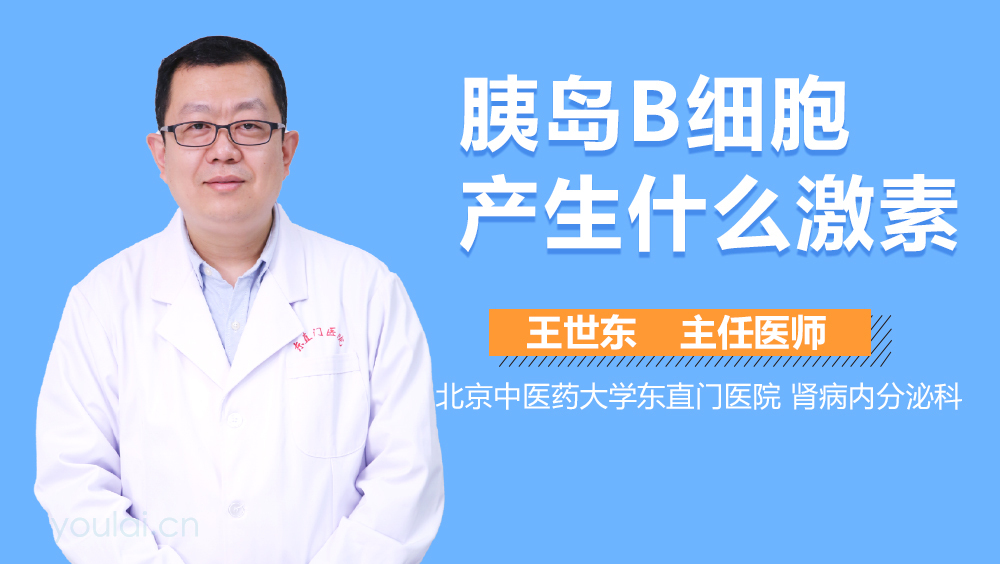 胰岛B细胞产生什么激素