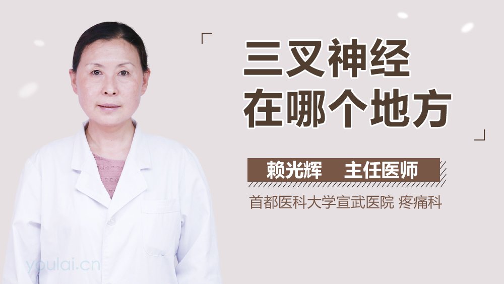 三叉神经在哪个地方
