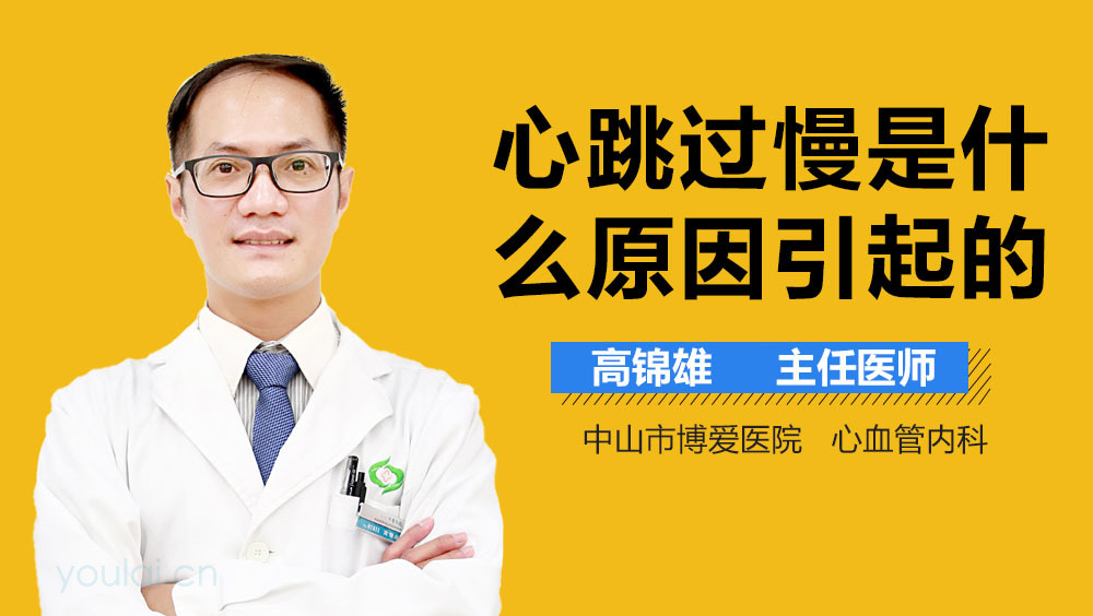 心跳过慢是什么原因引起的