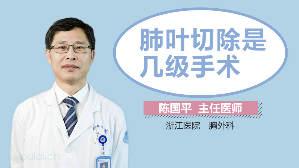 肺叶切除是几级手术