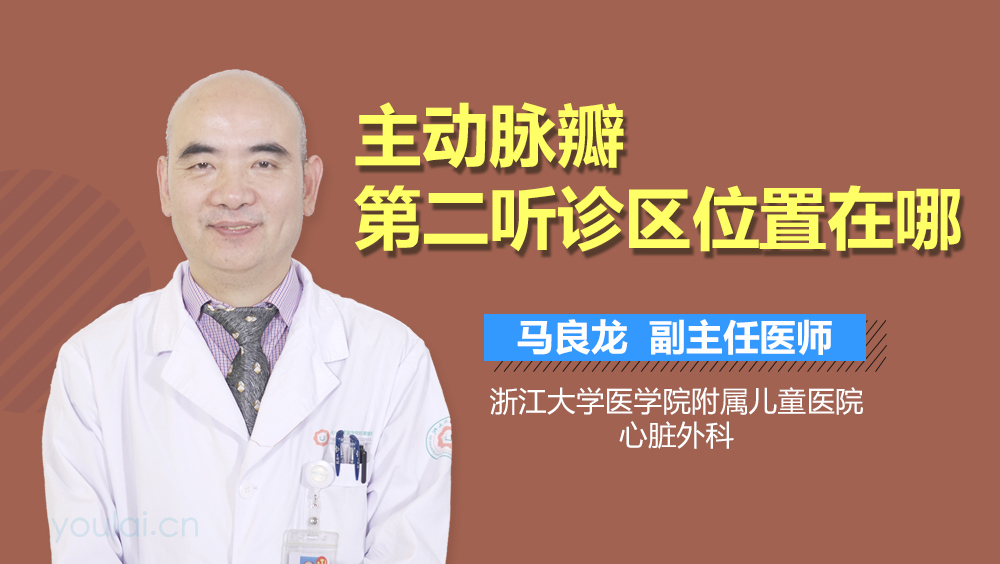 主动脉瓣第二听诊区位置在哪